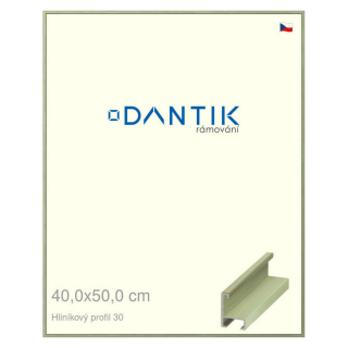 DANTIK rámeček 40x50 | ALU profil 6030 Dýha barevná zelená pastel (Sklo Čiré)