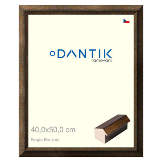 DANTIK rámeček 40x50 | Forgia Bronzea (Sklo Čiré)