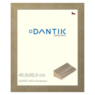 DANTIK rámeček 40x50 | ANDRÉ velká champagne (Sklo Čiré)