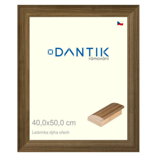 DANTIK rámeček 40x50 | LEDVINKA dýha ořech (Sklo Čiré)