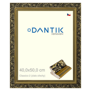 DANTIK rámeček 40x50 | Claico 2 (zlato ořechy) (Sklo Čiré)