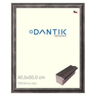 DANTIK rámeček 40x50 | TRITON cín (Sklo Čiré)