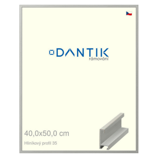 DANTIK rámeček 40x50 | ALU profil 6035 Dýha barevná šedá (Sklo Čiré)