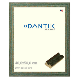 DANTIK rámeček 40x50 | LYON zelená (Sklo Čiré)