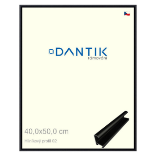 DANTIK rámeček 40x50 | ALU profil 7002 Černá matná (Sklo Čiré)