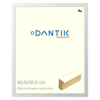 DANTIK rámeček 40x50 | PERLA bílá lesklá vysoká (Sklo Čiré)