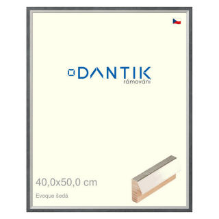 DANTIK rámeček 40x50 | EVOQUE šedá (Sklo Čiré)