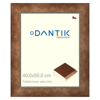 DANTIK rámeček 40x50 | TOMAS bronz velká (Sklo Čiré)
