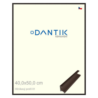 DANTIK rámeček 40x50 | ALU profil 7001 Hnědá matná (Sklo Čiré)