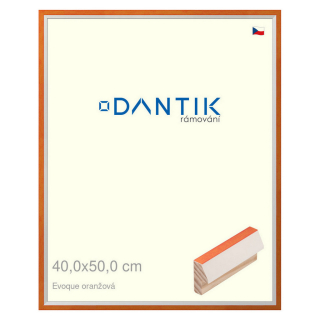 DANTIK rámeček 40x50 | EVOQUE oranžová (Sklo Čiré)