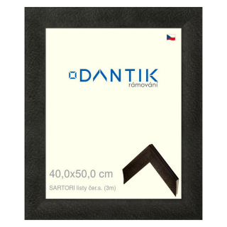 DANTIK rámeček 40x50 | SARTORI listy čer.s. (Sklo Čiré)