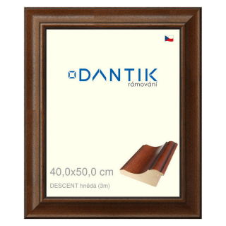 DANTIK rámeček 40x50 | DESCENT hnědá (Sklo Čiré)