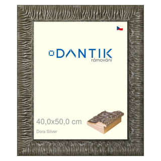 DANTIK rámeček 40x50 | Dora Silver (Sklo Čiré)