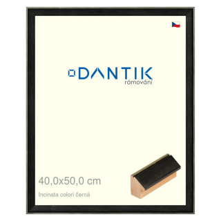 DANTIK rámeček 40x50 | INCLINATA colori černá (Sklo Čiré)