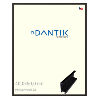 DANTIK rámeček 40x50 | ALU profil 7022 Černá matná (Sklo Čiré)