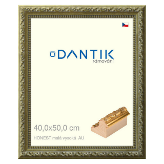 DANTIK rámeček 40x50 | HONEST malá vysoká AU (Sklo Čiré)