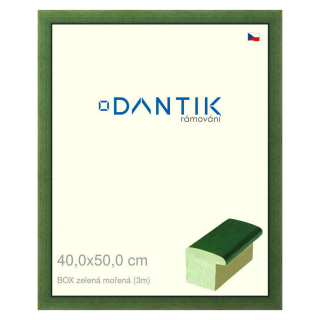 DANTIK rámeček 40x50 | BOXzelená mořená (Sklo Čiré)