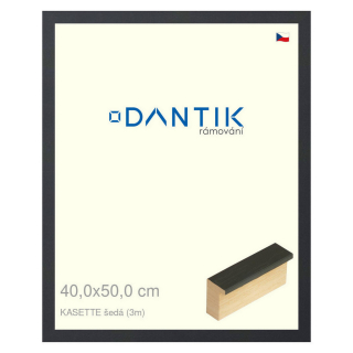 DANTIK rámeček 40x50 | KASSETTE šedá (Sklo Čiré)