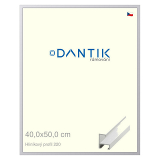 DANTIK rámeček 40x50 | ALU profil 6220 Bílá matná (Sklo Čiré)