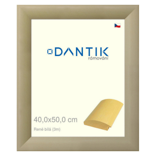 DANTIK rámeček 40x50 | René bílá (Sklo Čiré)