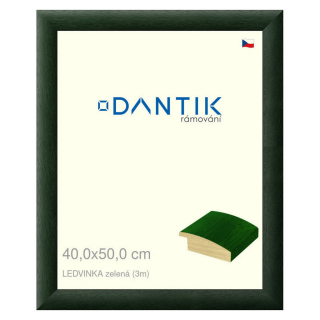 DANTIK rámeček 40x50 | LEDVINKA zelená (Sklo Čiré)