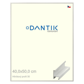 DANTIK rámeček 40x50 | ALU profil 6030 Dýha bílá (Sklo Čiré)