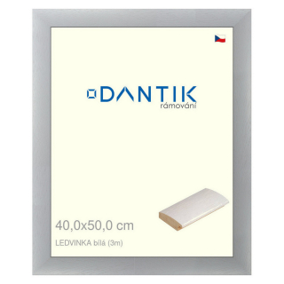DANTIK rámeček 40x50 | LEDVINKA bílá (Sklo Čiré)