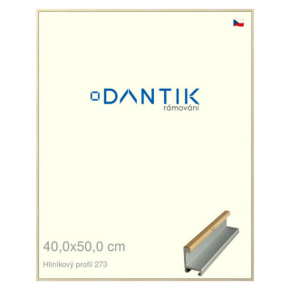 DANTIK rámeček 40x50 | ALU profil 7273 Dýha javor (Sklo Čiré)