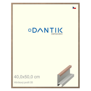 DANTIK rámeček 40x50 | ALU profil 6035 Dýha ořech raw (Sklo Čiré)