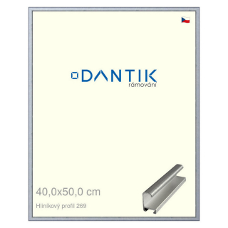 DANTIK rámeček 40x50 | ALU profil 7269 Sstříbrná broušená (Sklo Čiré)
