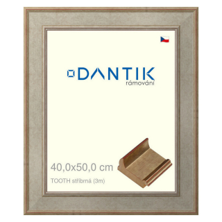 DANTIK rámeček 40x50 | TOOTH stříbrná (Sklo Čiré)