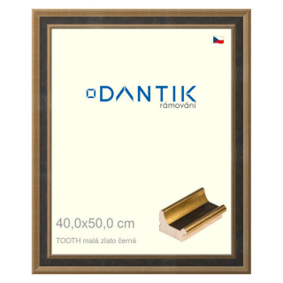 DANTIK rámeček 40x50 | TOOTH malá zlato černá (Sklo Čiré)