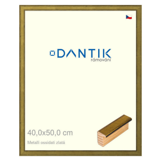 DANTIK rámeček 40x50 | Metalli oidati zlatá (Sklo Čiré)