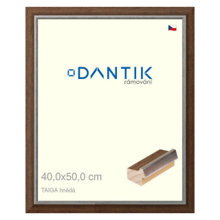 DANTIK rámeček 40x50 | TAIGA hnědá (Sklo Čiré)