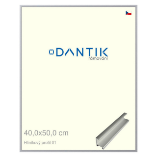 DANTIK rámeček 40x50 | ALU profil 7001 Stříbrná matná (Sklo Čiré)