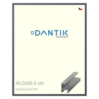 DANTIK rámeček 40x50 | ALU profil 6220 Ocelová (Sklo Čiré)