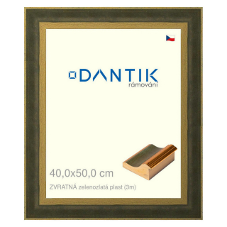 DANTIK rámeček 40x50 | ZVRATNÁ zelenozlatá plast (Sklo Čiré)