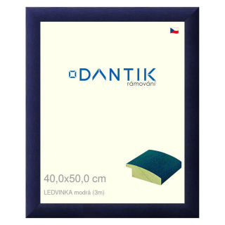 DANTIK rámeček 40x50 | LEDVINKA modrá (Sklo Čiré)