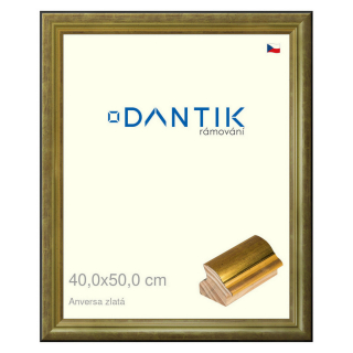 DANTIK rámeček 40x50 | ANIVERSA zlatá (Sklo Čiré)