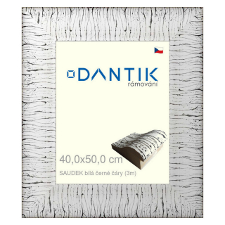 DANTIK rámeček 40x50 | SAUDEK Bílá černé čáry (Sklo Čiré)