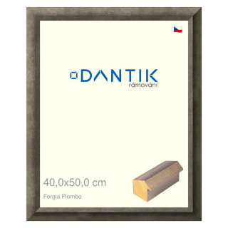 DANTIK rámeček 40x50 | Forgia Piombo (Sklo Čiré)