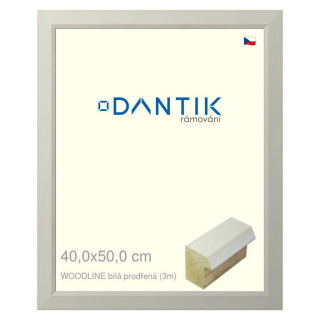 DANTIK rámeček 40x50 | WOODLINE bílá prodřená (Sklo Čiré)