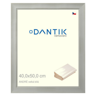 DANTIK rámeček 40x50 | ANDRÉ velká Bílá (Sklo Čiré)