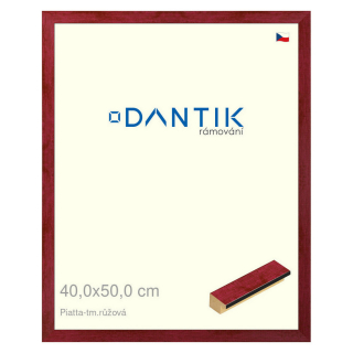 DANTIK rámeček 40x50 | PIATTA tm.růžová (Sklo Čiré)
