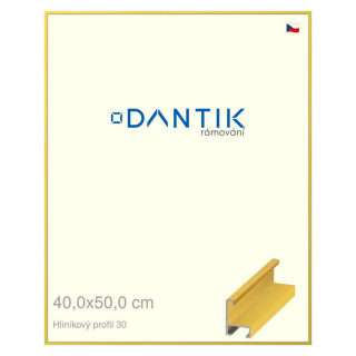 DANTIK rámeček 40x50 | ALU profil 6030 Dýha barevná žlutá citrus (Sklo Čiré)