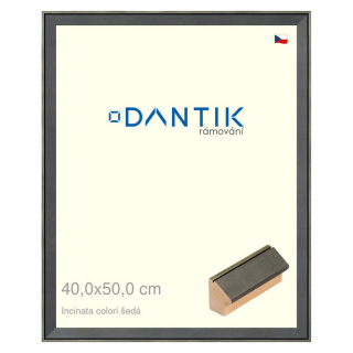 DANTIK rámeček 40x50 | INCLINATA colori šedá (Sklo Čiré)