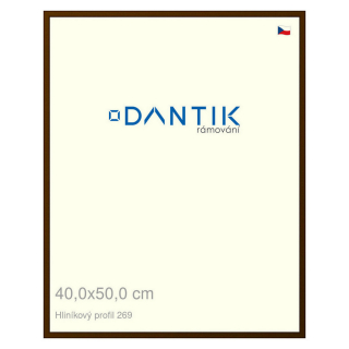 DANTIK rámeček 40x50 | ALU profil 7269 Hnědá umbra broušená (Sklo Čiré)