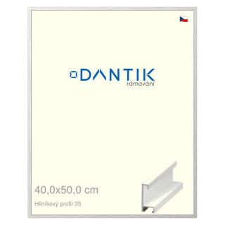 DANTIK rámeček 40x50 | ALU profil 6035 Dýha bílá (Sklo Čiré)