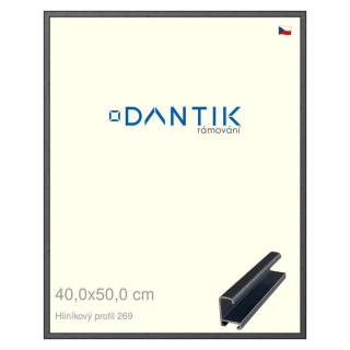 DANTIK rámeček 40x50 | ALU profil 7269 Šedá Oplal broušená (Sklo Čiré)