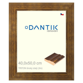 DANTIK rámeček 40x50 | TRITON široký zlatý (Sklo Čiré)